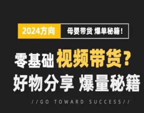 短视频母婴赛道实操流量训练营，零基础视频带货，好物分享，爆量秘籍-彼飞网创