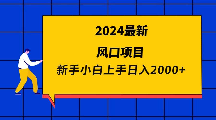 (9483期)2024最新风口项目 新手小白日入2000+-彼飞网创