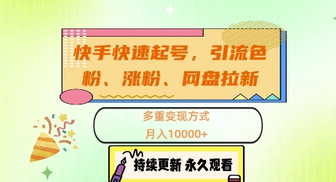 快手快速起号，引流s粉、涨粉、网盘拉新多重变现方式，月入1w【揭秘】-彼飞网创