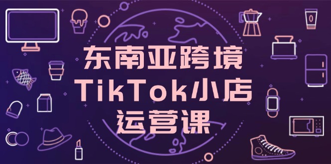 东南亚跨境TikTok小店运营课，掌握店铺设置与流量转化核心技巧-彼飞网创