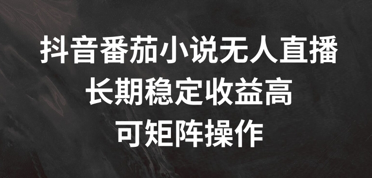 抖音番茄小说无人直播，长期稳定收益高，可矩阵操作【揭秘】-彼飞网创