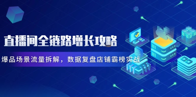 直播间全链路增长攻略，爆品场景流量拆解，数据复盘店铺霸榜实战-彼飞网创
