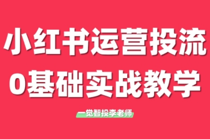 李老师·小红书运营投流，0基础实战教学(更新)-彼飞网创