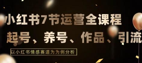 7节小红书运营实战全教程，结合最新情感赛道，打通小红书运营全流程【揭秘】-彼飞网创