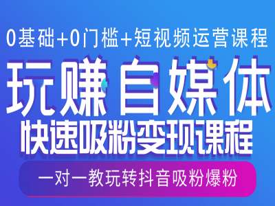 0基础+0门槛+短视频运营课程，玩赚自媒体快速吸粉变现课程，一对一教玩转抖音吸粉爆粉-彼飞网创