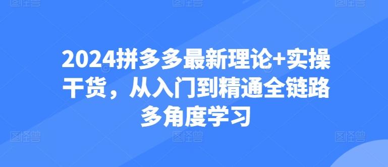 2024拼多多最新理论+实操干货，从入门到精通全链路多角度学习-彼飞网创