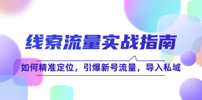 线 索 流 量-实战指南：如何精准定位，引爆新号流量，导入私域-彼飞网创