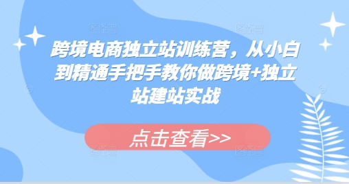 跨境电商独立站训练营，从小白到精通手把手教你做跨境+独立站建站实战-彼飞网创
