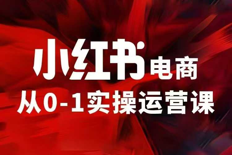 小红书电商运营，97节小红书vip内部课，带你实现小红书赚钱-彼飞网创