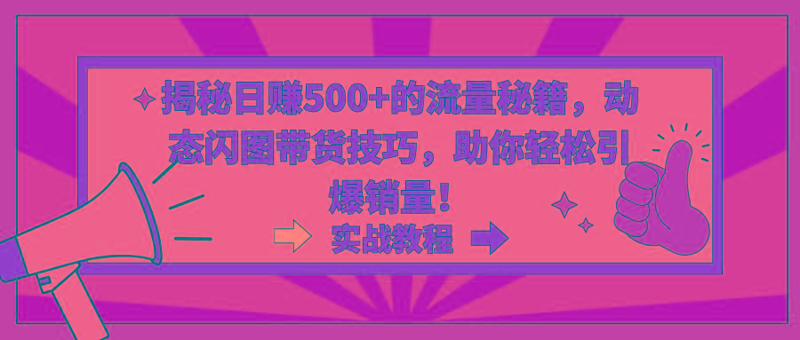 揭秘日赚500+的流量秘籍，动态闪图带货技巧，助你轻松引爆销量！-彼飞网创