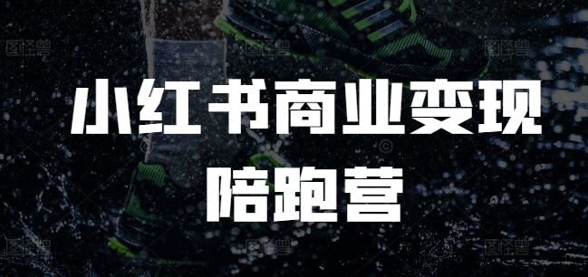 小红书商业变现陪跑营，小红书电商教程-彼飞网创