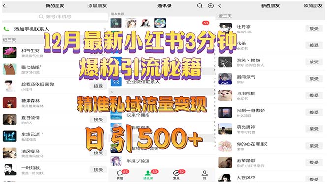 12月最新小红书3分钟爆粉引流秘籍 精准私域流量变现 日引500+-彼飞网创