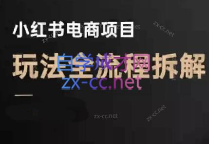 菲菲老师·小红书电商玩法(更新7月)-彼飞网创
