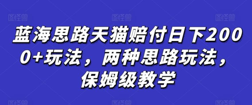 蓝海思路天猫赔付日下2000+玩法，两种思路玩法，保姆级教学【仅揭秘】-彼飞网创