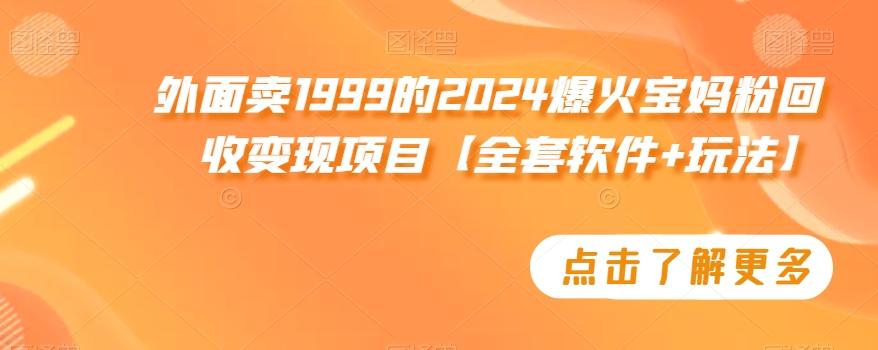 外面卖1999的2024爆火宝妈粉回收变现项目【全套软件+玩法】【揭秘】-彼飞网创