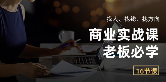 商业实战课【老板必学】：找人、找钱、找方向(16节课-彼飞网创
