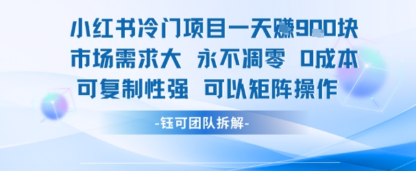 小红书冷门项目一天收益9张，市场需求大，0成本，可复制性强可以矩阵操作-彼飞网创