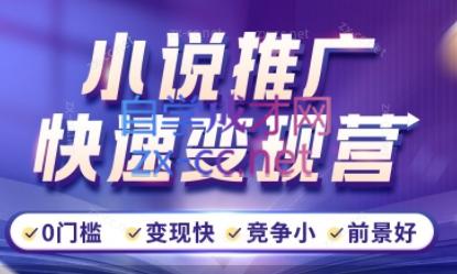 洲洲老师·小说推广快速变现营-彼飞网创