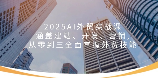 2025AI外贸实战课：涵盖建站、开发、营销, 从零到三全面掌握外贸技能-彼飞网创