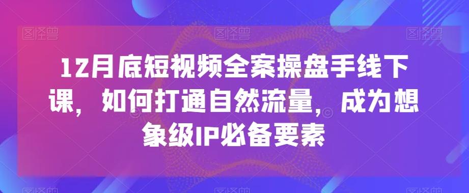 12月底短视频全案操盘手线下课，如何打通自然流量，成为想象级IP必备要素-彼飞网创