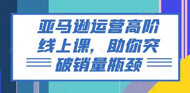 亚马逊运营高阶线上课，助你突破销量瓶颈-彼飞网创