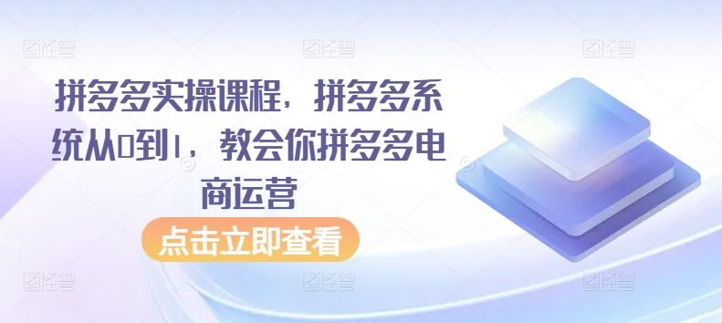拼多多实操课程，拼多多系统从0到1，教会你拼多多电商运营-彼飞网创