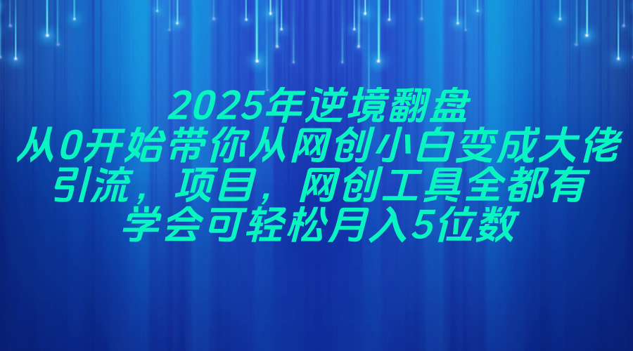 2025年逆境翻盘，从0开始带你从网创小白变成大佬，引流，项目，网创工…-彼飞网创