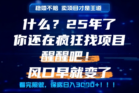 什么？25年你还在疯狂找项目做，醒醒吧，看完这些你全都懂了！【揭秘】-彼飞网创