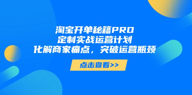 淘宝开单秘籍PRO，定制实战运营计划，化解商家痛点，突破运营瓶颈-彼飞网创