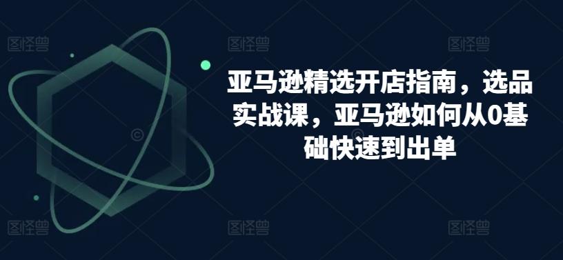 亚马逊精选开店指南，选品实战课，亚马逊如何从0基础快速到出单-彼飞网创