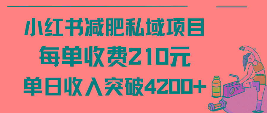 (9466期)小红书减肥私域项目每单收费210元单日成交20单，最高日入4200+-彼飞网创