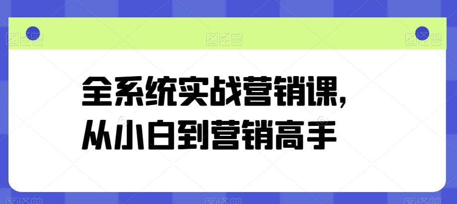 全系统实战营销课，从小白到营销高手-彼飞网创