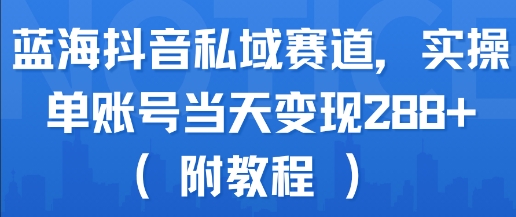 蓝海抖音私域赛道，实操单账号当天变现288+(附教程)-彼飞网创