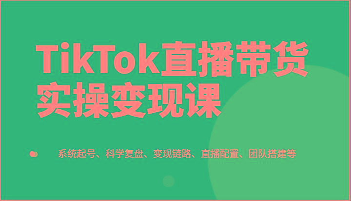 TikTok直播带货实操变现课：系统起号、科学复盘、变现链路、直播配置、团队搭建等-彼飞网创