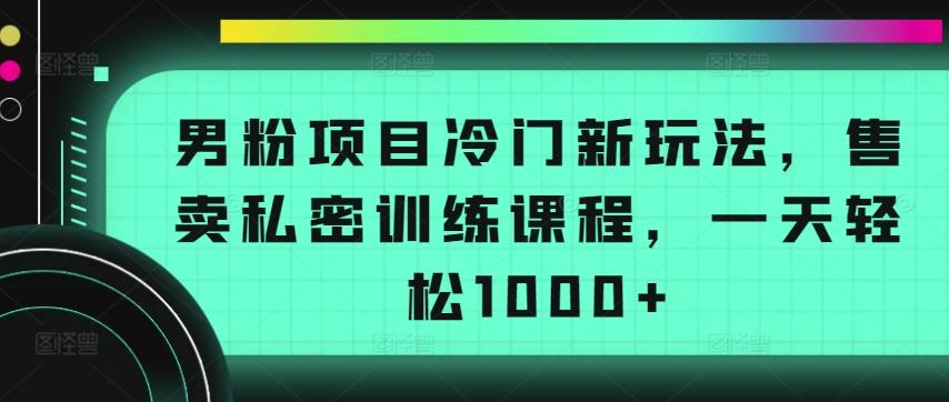 男粉项目冷门新玩法，售卖私密训练课程，一天轻松1000+【揭秘】-彼飞网创