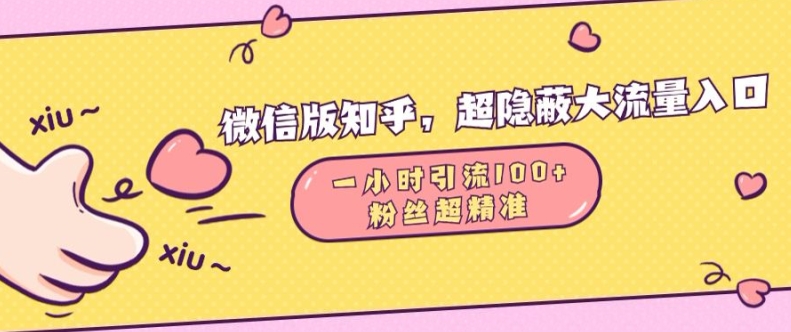 微信版知乎，超隐蔽流量入口1小时引流100人，粉丝质量超高【揭秘】-彼飞网创