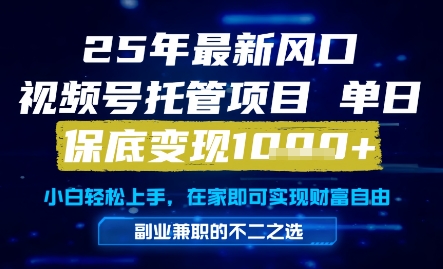 25年最新风口，视频号托管项目，单日保底变现1k+，手把手教学【揭秘】-彼飞网创