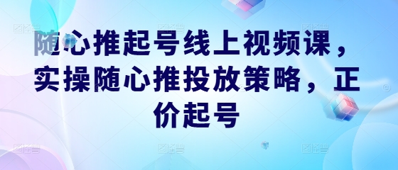 随心推起号线上视频课，实操随心推投放策略，正价起号-彼飞网创
