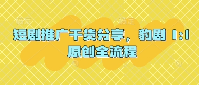 短剧推广干货分享，豹剧 1:1原创全流程-彼飞网创