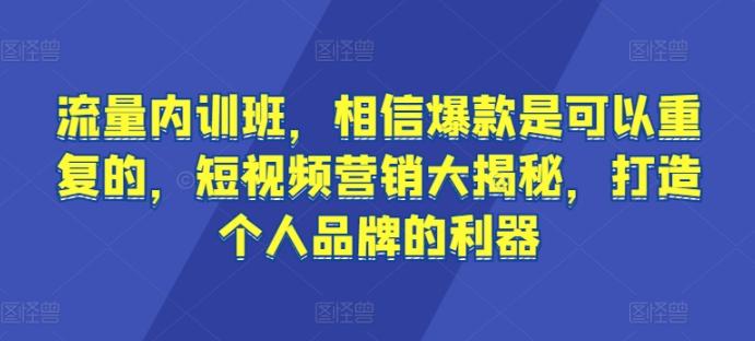 流量内训班，相信爆款是可以重复的，短视频营销大揭秘，打造个人品牌的利器-彼飞网创