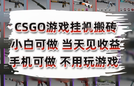 CSGO游戏挂G搬砖，小白纯手机即可操作，不用电脑打游戏，日入3张+，副业网创项目【揭秘】-彼飞网创