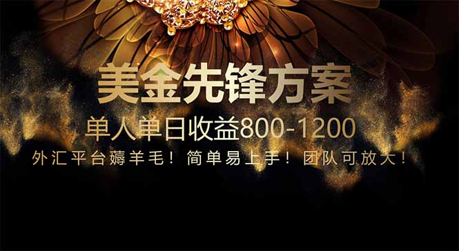 免费技术！小众赛道！一年布局抵三年努力，每日800+-彼飞网创