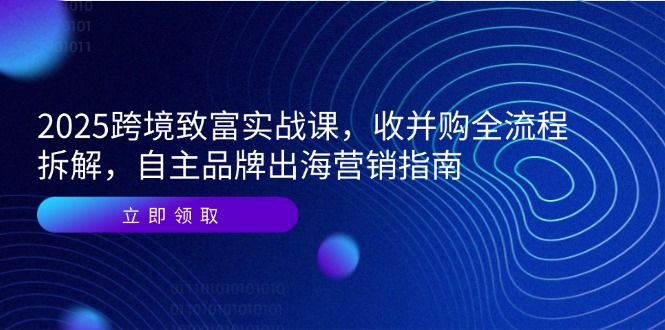 2025跨境致富实战课，收并购全流程拆解，自主品牌出海营销指南-彼飞网创
