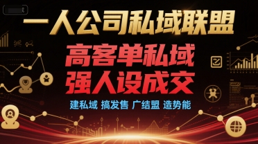 一人公司私域联盟，高客单私域，强人设成交，建私域 搞发售 广结盟 造势能-彼飞网创