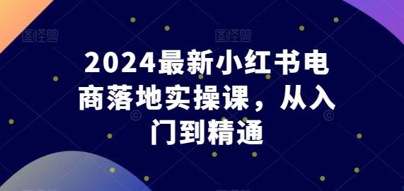 2024最新小红书电商落地实操课，从入门到精通-彼飞网创