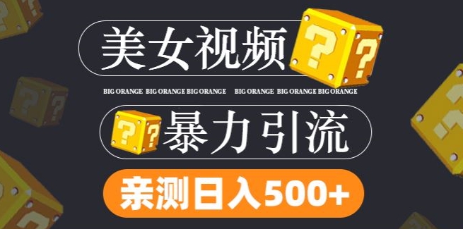 搬运tk美女视频全网分发，日引s粉300+，轻松变现，不限流量不封号【揭秘】-彼飞网创