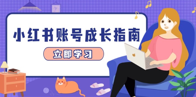 小红书账号成长指南，爆款选题+精准定位+数据分析，系统提升账号变现能力-彼飞网创