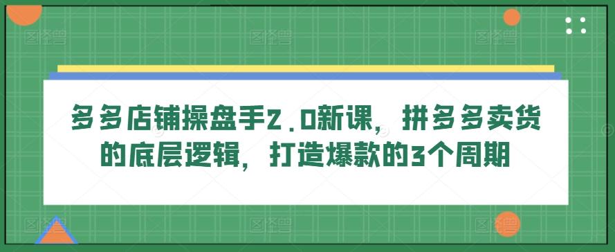 多多店铺操盘手2.0新课，拼多多卖货的底层逻辑，打造爆款的3个周期-彼飞网创