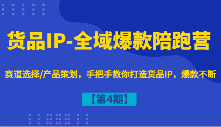 货品IP-全域爆款陪跑营【第4期】赛道选择/产品策划，手把手教你打造货品IP，爆款不断-彼飞网创