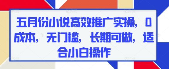 五月份小说高效推广实操，0成本，无门槛，长期可做，适合小白操作-彼飞网创